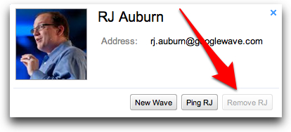 wave-remove1-1.jpg