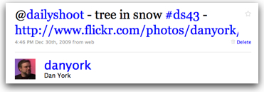 danyork-dailyshoot-ds43.jpg