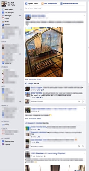 Facebook newsfeed