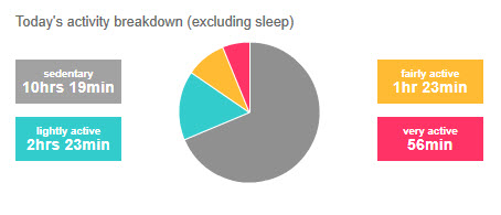 110905 Activity Pie Chart