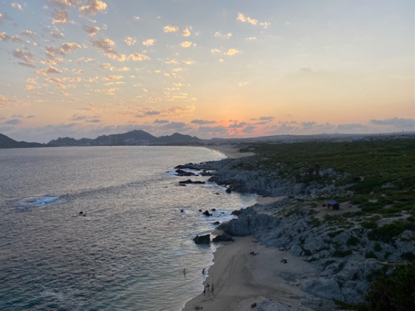 IMG_1642 IMG_1642