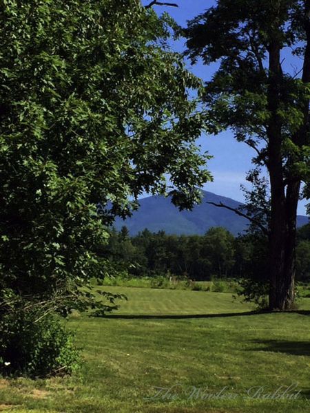 Mountain-Edit Mountain-Edit