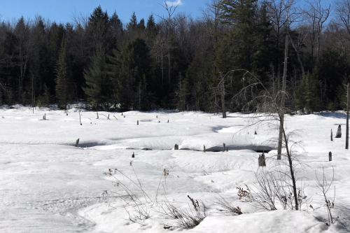 Tinmountain2 Tinmountain2