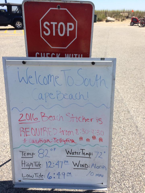 Welcometosouthcapebeach