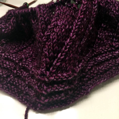 Boysenberry_yak Boysenberry_yak