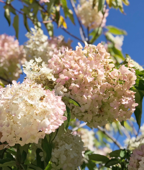 PicTapGo-Image (4) PicTapGo-Image (4)