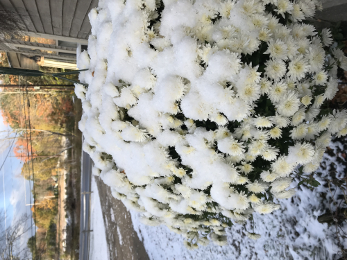 138043F4-51CE-4960-9412-4A1F5BA207A6