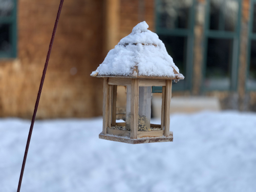 Birdfeeder Birdfeeder