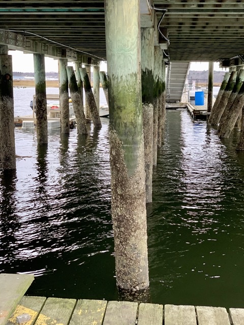 3A93F9DB-04B7-47FA-B39E-376DDA1437CD 3A93F9DB-04B7-47FA-B39E-376DDA1437CD