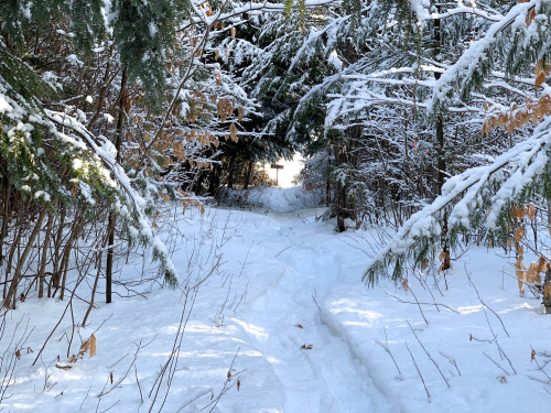 Snow_trail Snow_trail