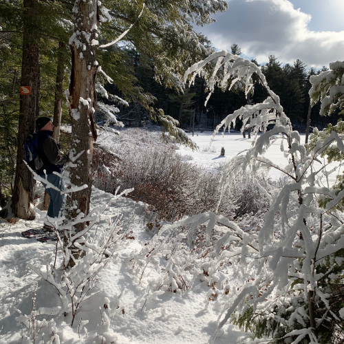 TinMtn_lake TinMtn_lake