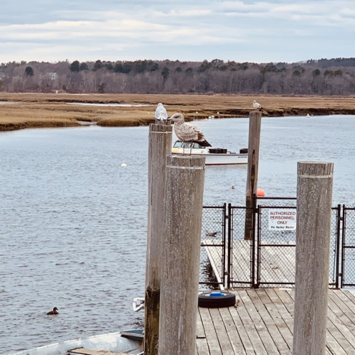 1CE17C31-3A63-4CF2-803F-89D72CC6BE8C 1CE17C31-3A63-4CF2-803F-89D72CC6BE8C