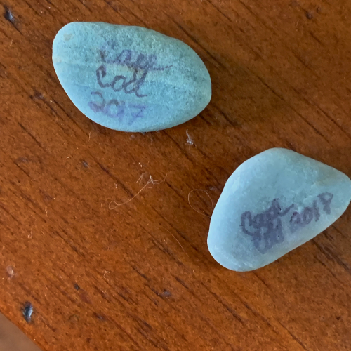 0957E506-7766-401E-9521-4331BA915B7C