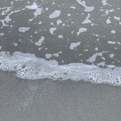 87CB8692-1A78-4651-A6D8-3379D2EA6F8C