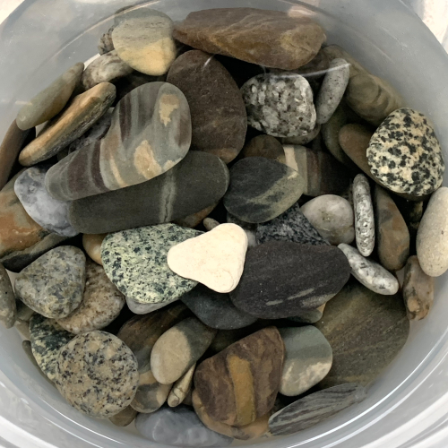 E253C37B-B15B-41FA-B4B7-C032D7249CE8