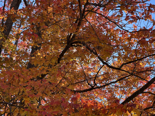 37C363F5-BED7-4D73-8C4F-5D66AF87249E