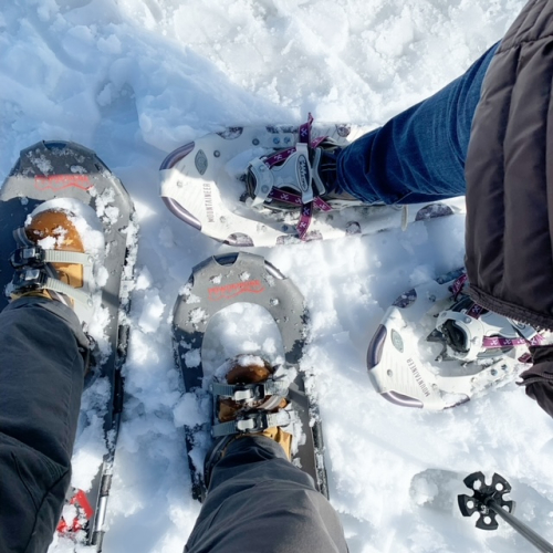 Snowshoes