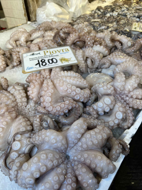 Octopus
