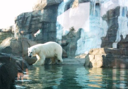 Polar