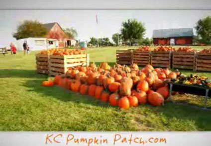 Kcpumpkinpatchphoto