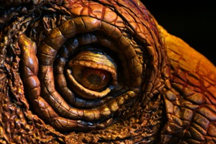 Dinosaureye_small