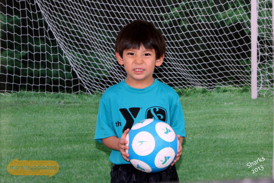 FIFA World Cup 2014 fan