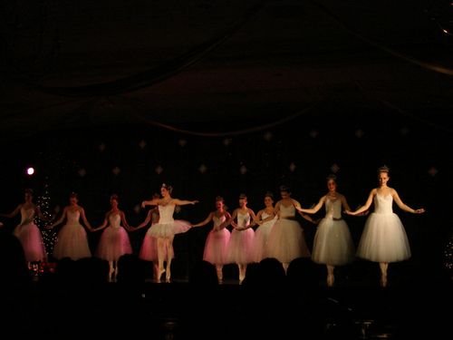 DSC02179