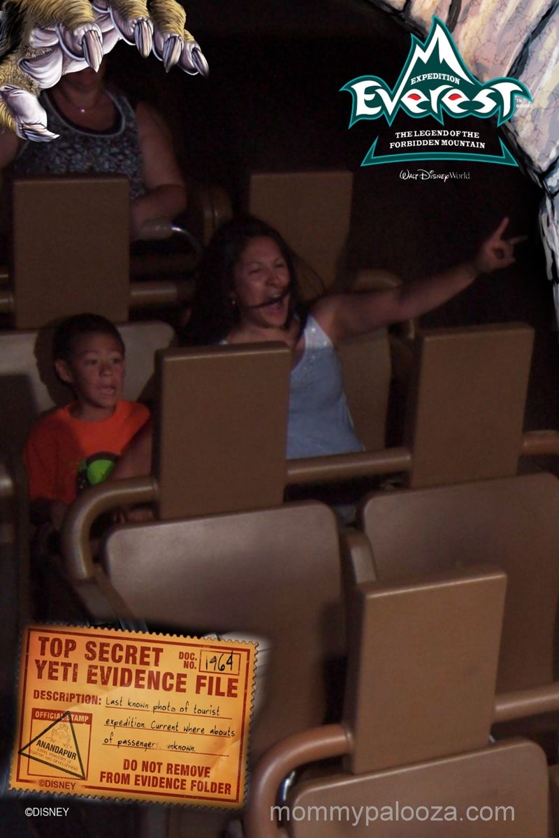 Disney's Animal Kingdom: Expedition Everest at night