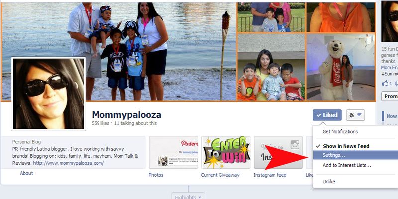 image from www.mommypalooza.com