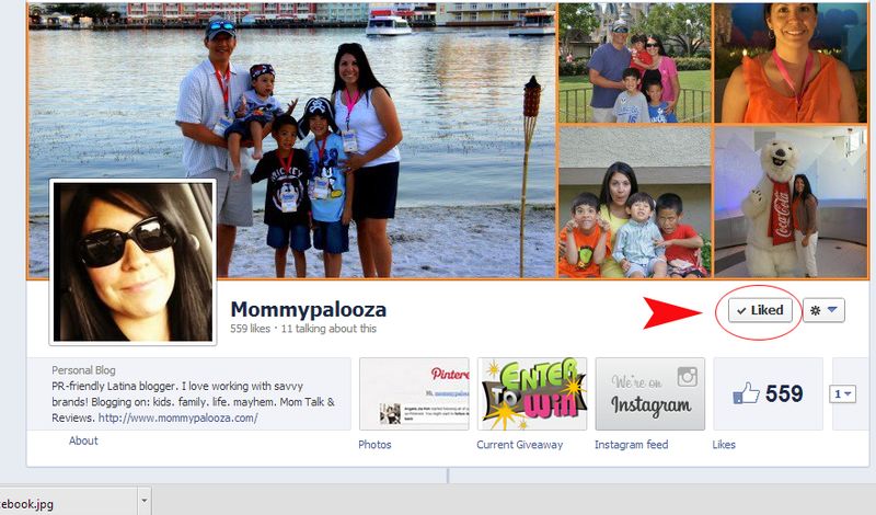 image from www.mommypalooza.com