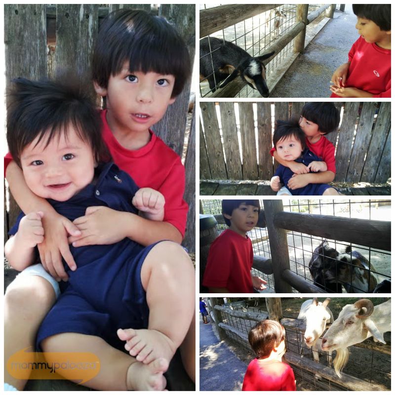 Farmstead outing