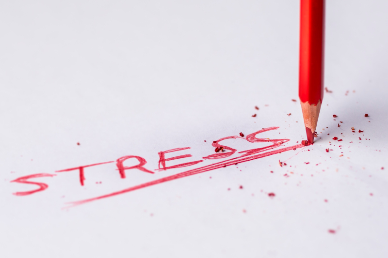 Signs-of-stress-2