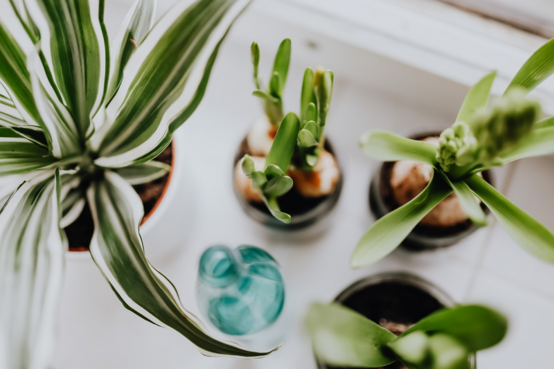 Is Your Home The Relaxing Haven It Should Be?