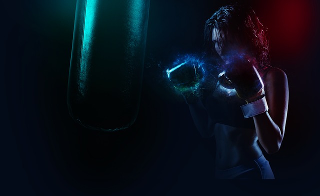 Boxer-1984344_640