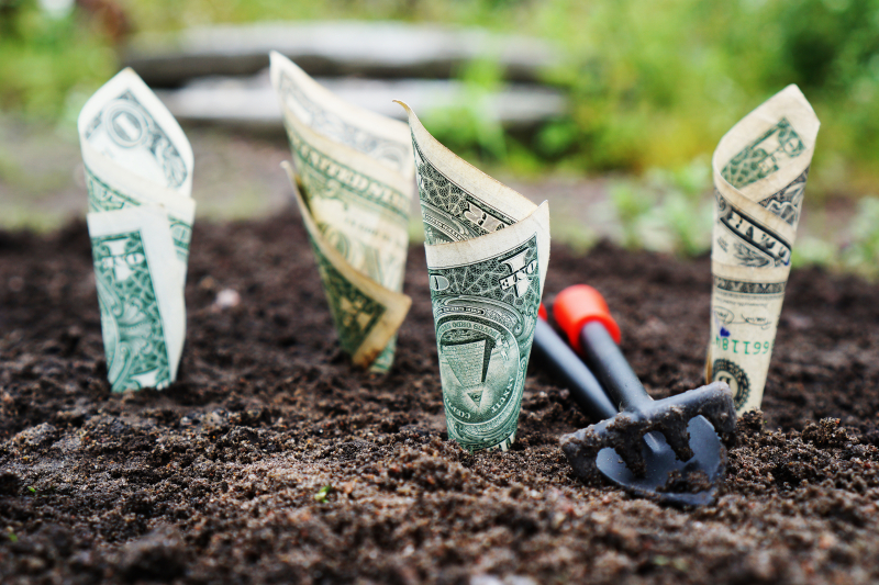 Finances-in-order-2019