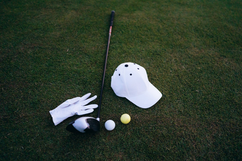 Career in sports