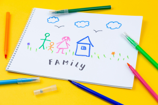 Family-professionals